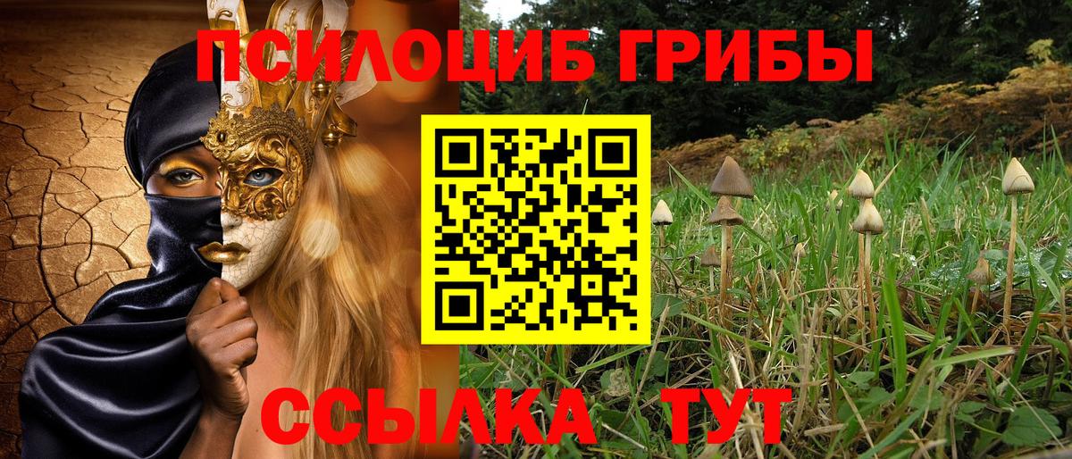 наркошоп  Галлюциногенные грибы Psilocybe  Вход с VPN  Ирбит 