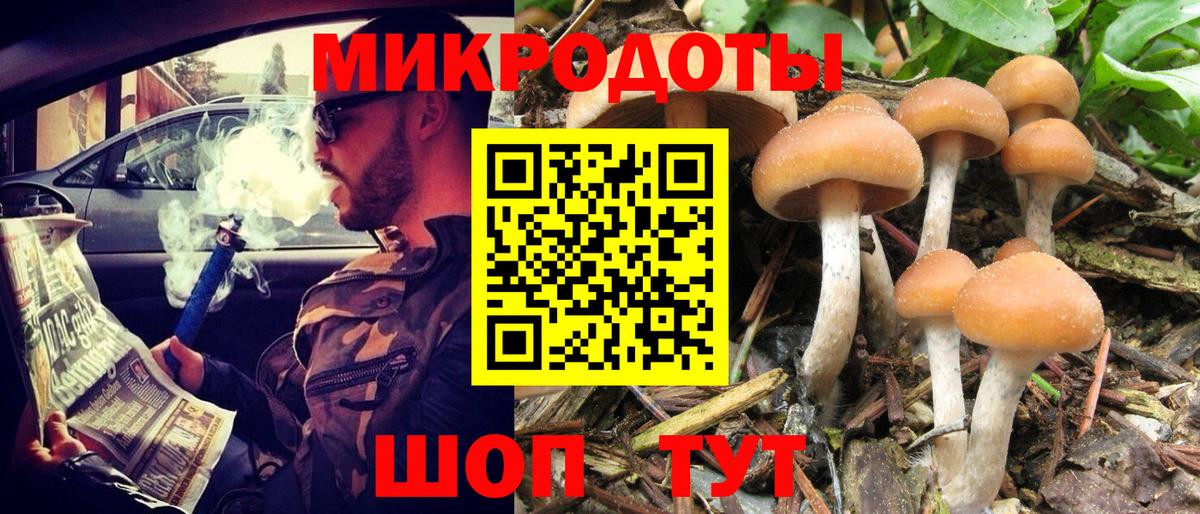 Псилоцибиновые грибы Psilocybine cubensis Ирбит